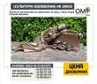 Elite exclusive monuments to order. Sculpture of a sleeping girl.