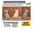 Ароматизированные гипсовые статуэтки собак, изготовление статуэток в Украине под заказ.