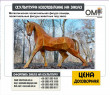 Metal polygonal figure of a horse, polygonal figures of animals to order.