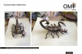 Скульптура скорпион