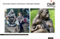 Скульптура горила з дитинчатою у «Фельдман Екопарк»