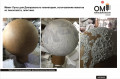 Model of the Moon for the Dnieper Planetarium, production of models from foam plastic.
