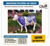 Корова Мілка, об'ємна зовнішня реклама, фігура корови.