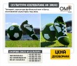 Topiary, sculpture of a soccer ball and boot, custom-made sculpture.