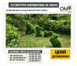 Topiary figure made of artificial grass Hares
