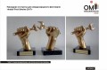 Award statuette for the international festival “Install Fest Ukraine 2017”