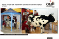 A cow that gives ice cream production of custom advertising figures.