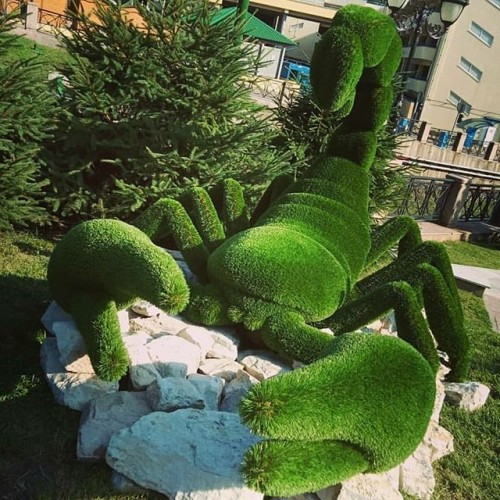 Landscape sculpture topiary scorpion